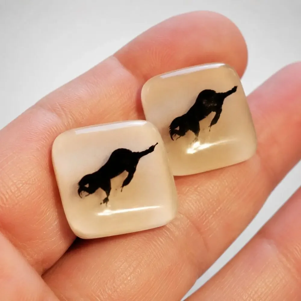 Pink Lucite Badger‎ 1960s Vintage Cuffllinks / Cuff Links- Mid-century cl-